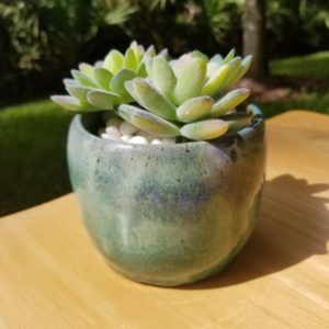 Glazed Green Succulent Pot