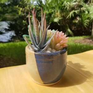 Duotone Glazed Succulent Pot